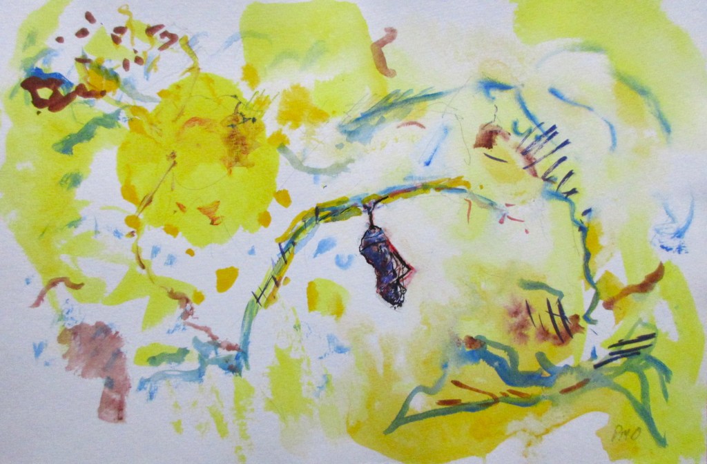 Monarch series at Auckland&nbsp;Hospital