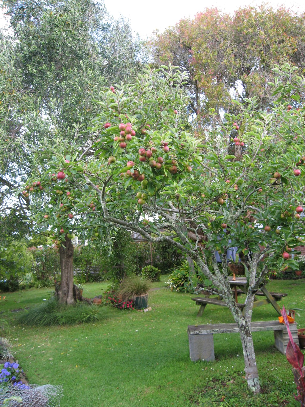 How Inspiration Grows in&nbsp;Gardens